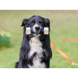 Procyon Obedience Set, Trainings-Set für Hunde, Agility-Set, Hundesport