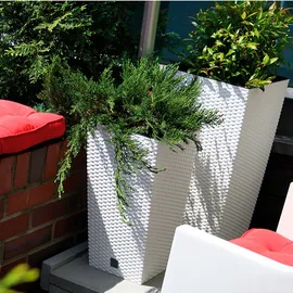 Prosperplast Rato Square 33 x 33 x 61 cm anthrazit