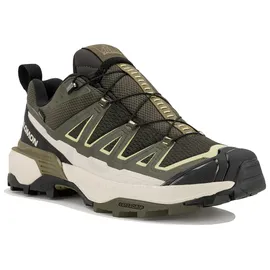 Salomon X Ultra 360 Edge GTX Herren Peat / Olive Night / Endive 44,5