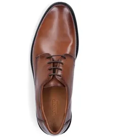 LLOYD Nevio Herren Business Schuh braun 44 EU | Gr.: 9,5 UK