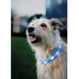 Trixie Flash Leuchtband Halsband Blau L-XL 70cm