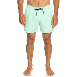 QUIKSILVER Everyday Volley 15" Badeshorts Beach Glass XS