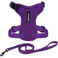 Best Pet Supplies Voyager Step-in Lock Katzengeschirr und reflektierende Katzenleine mit Neoprengriff by Best Pet Supplies - Unterstützt kleine, mittelgroße und große Katzenrassen, Lila, size XS - 1,5 m