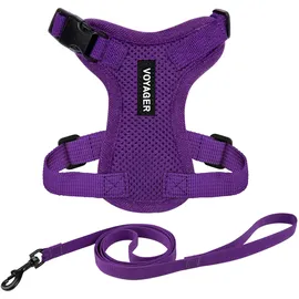 Best Pet Supplies Voyager Step-in Lock Katzengeschirr und reflektierende Katzenleine mit Neoprengriff by Best Pet Supplies - Unterstützt kleine, mittelgroße und große Katzenrassen, Lila, size XS - 1,5 m