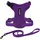 Best Pet Supplies Voyager Step-in Lock Katzengeschirr und reflektierende Katzenleine mit Neoprengriff by Best Pet Supplies - Unterstützt kleine, mittelgroße und große Katzenrassen, Lila, size XS - 1,5 m