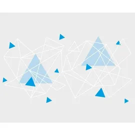 Emsa Drink2Go Tritan Geometry 0,7 l