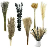 100 Stück Pampasgras Trockenblumen Mit Eukalyptus, 40 cm Deko Strauss