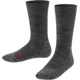 Falke Active Warm (10450)