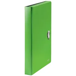 LEITZ Projektmappe Recycle, A4, 5 Fächer, klimaneutral, grün