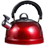 Operitacx FlöTenkessel Induktion 3L, Edelstahl Wasserkessel Camping Mit Griff, Teekessel Induktion FüR Induktionsherd Gas Familie Camping