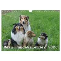 Calvendo Mein Hundekalender 2026 (Wandkalender 2026 DIN A4 quer),