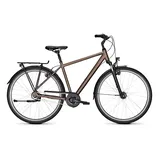 Kalkhoff Image HS R City Bike Crystalgrey Matt | 28" Herren Diamant M/50cm