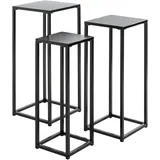 Haku-Möbel Blumentisch 22 x 61 x 22 cm Schwarz