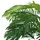 vidaXL Künstliche Palme Cycas mit Topf 140 cm Grün