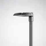 Trilux LED-Mastan-/Aufsatzleuchte LIQ 50N-FL1L#7833640