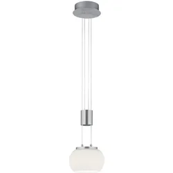 Trio Leuchten LED-Pendelleuchte MADISON - D/H ca. 18,00x150,00