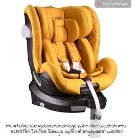 AVOVA Swan-Fix I-Size Koala Grau