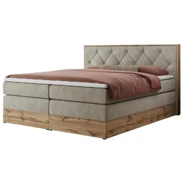 MKS Veneto King 140 x 200 cm H4 Beige