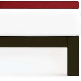 Traumschlaf Spannbettlaken Frottee 120 x 200 - 130 x 200 cm rot