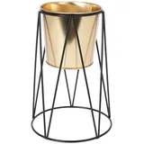 home&styling collection 22 x 22 x 22 cm Gold