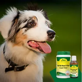 cdVet Bio Fell & Haut Vital Öl 50 ml