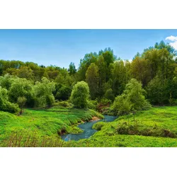 Fototapete PAPERMOON "FLUSS IM WALD-BAUM NATUR DSCHUNGEL SONNE WEG WASSERFALL", bunt, B:5,00m L:2,80m, Vlies, Tapeten