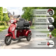 ECONELO E-Seniorenmobil Billy 2.0 3-Rad 1000 Watt Rot/Grau