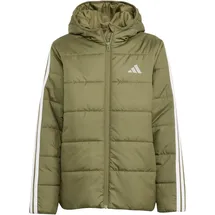 adidas Winterjacke Olive Strata/White 152