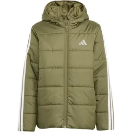 adidas Winterjacke Olive Strata/White 152