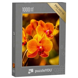 puzzleYOU Puzzle Puzzle 1000 Teile XXL „Leuchtende Orchideenblüte in Orange“, 1000 Puzzleteile, puzzleYOU-Kollektionen Orchideen