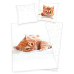 Herding Young Collection Bettwäsche Katzen 80x80cm, 135x200cm