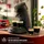 Philips Senseo Original Plus CSA210/60 schwarz