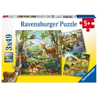 Ravensburger Wald-/Zoo-/Haustiere (09265)