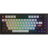 Akko 5075B Plus Dracula Castle Gasket Mechanische Tastatur ANSI 75% Layout RGB Gaming Tastatur Hotswap Taktile Schalter PBT-Tastenkappe NKRO - Grau