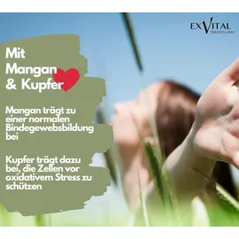 Exvital Brennnessel Komplex Kapseln 120 St.