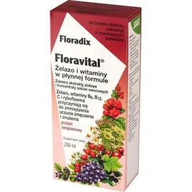 SALUS Floradix Elixir Flüssigkeit 250 ml