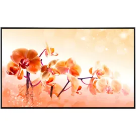 Papermoon Infrarotheizung Blumen, sehr angenehme Strahlungswärme bunt