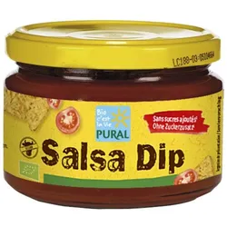 Salsa Dip