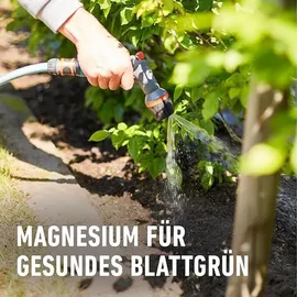 Compo Heckendünger NPK mit Sofortwirkung 4 kg