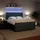 vidaXL Boxspringbett 180 x 200 cm Dunkelgrau