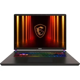MSI Vector 17 HX AI A2XWHG-041 Intel Core Ultra 9 275HX 32 GB RAM 2 TB SSD RTX 5070 Ti