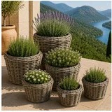 Van der Leeden Blumentopf Pflanzkorb Pflanzentreppe Rattan Korb Pflanzkübel (Set, 6 St., Packung), 6tlg, 6 Größen, Rattan, Handmade, ohne Wasserablauf braun
