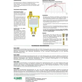 CALEFFI Minical Schnellentlüfter 1/2 Zoll mit Absperrventil