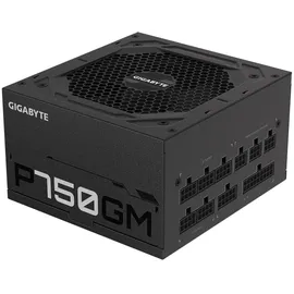 Gigabyte P750GM 750 Watt ATX Netzteil 80+ Gold voll modular
