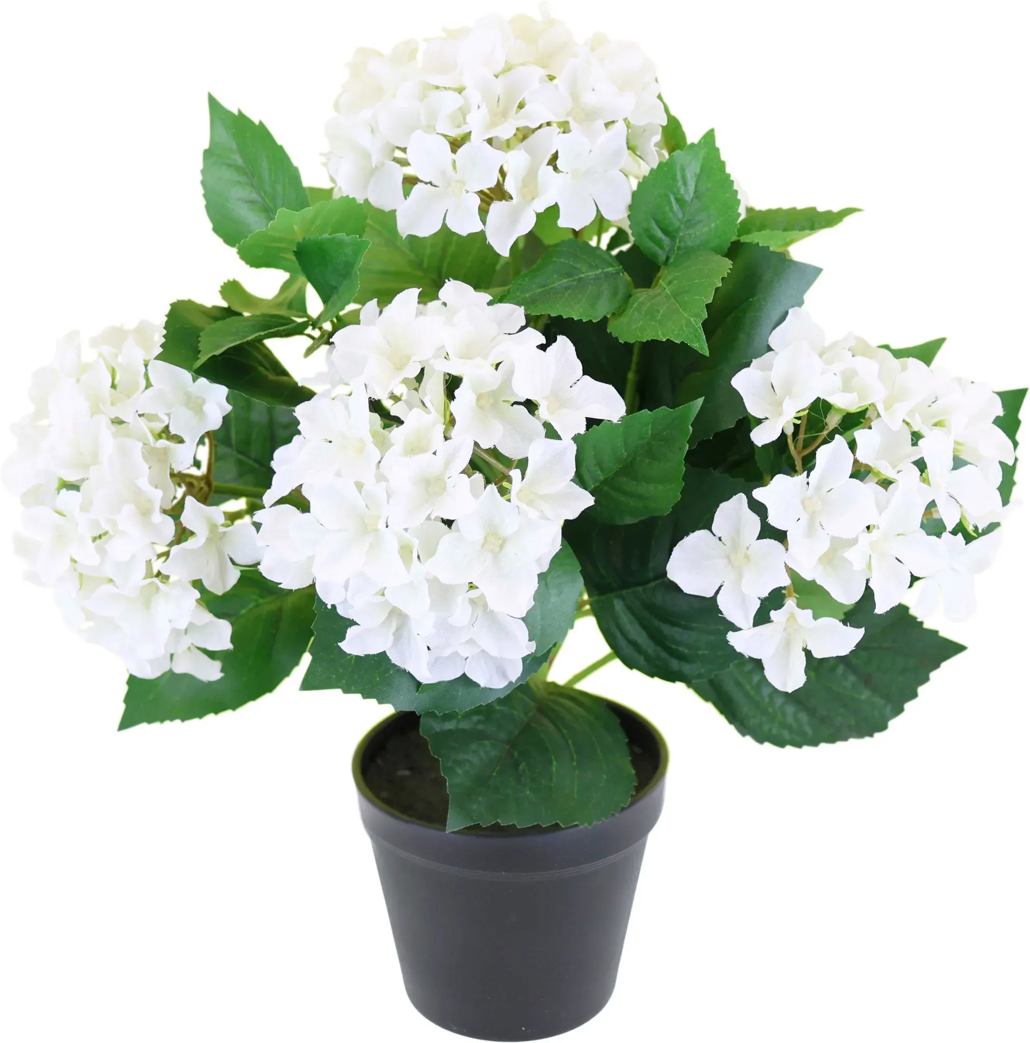 Kunstblume OTTO HOME 