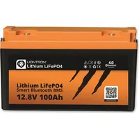 Liontron LiFePO4 LX 12,8V/100.000mAh