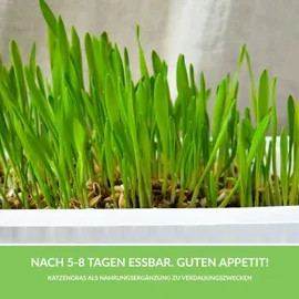 Gimborn GIMPET SOFT GRAS KATZE