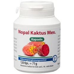 Nopal Kaktus Mex.