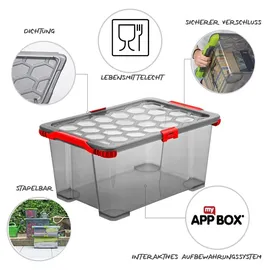 Rotho Aufbewahrungsbox Evo Total 59 x 39,5 x 28 cm 1-tlg. rot