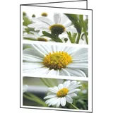 Sigel Grußkarten Romance DIN A6, 25 St.